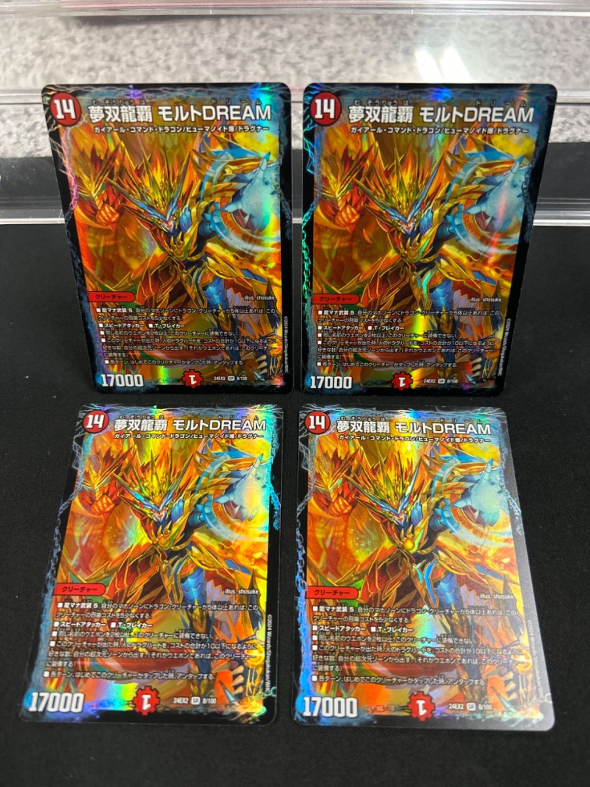 モルトdream 【公式通販】