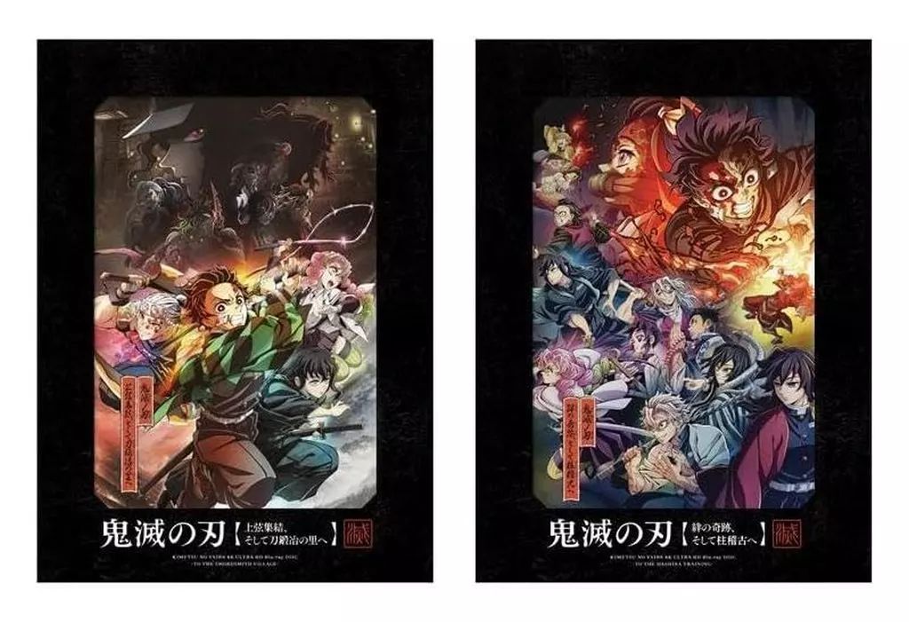 サッカー フランス代表ユニフォーム 練習着 日本代表 高校 学院