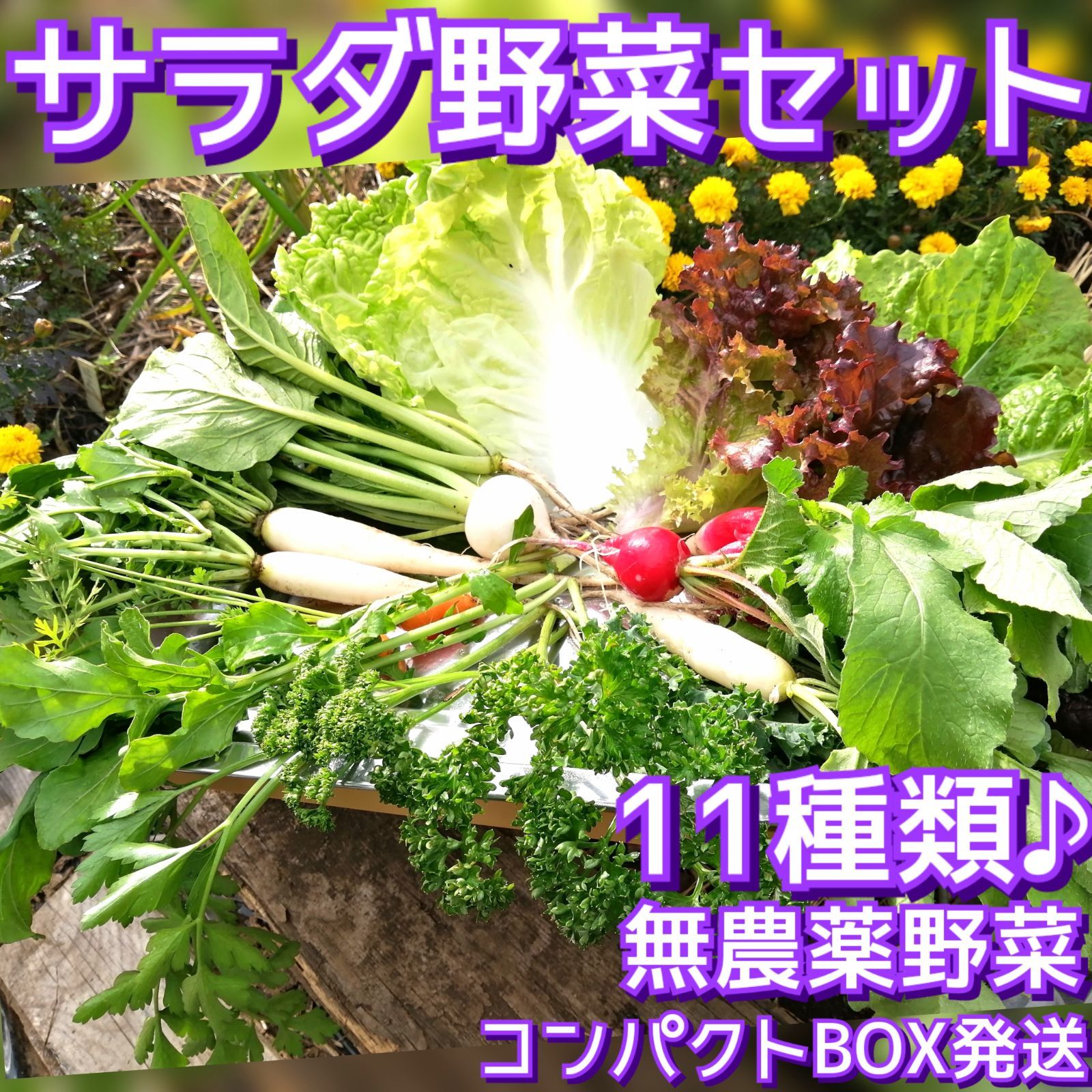 サラダケール専用出品 - 野菜