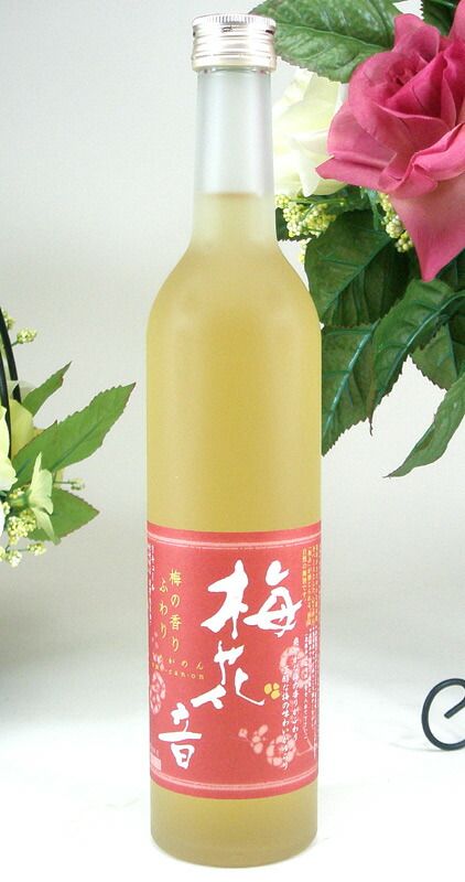 12本セット あさ開酒造 梅花音 梅酒 500ｍ×12本ｌ 岩手県