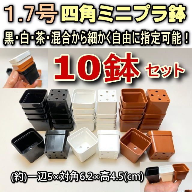 ミニプラ鉢専門店＊2号より小さめの1.7号鉢四角(スクエア・角1.7号