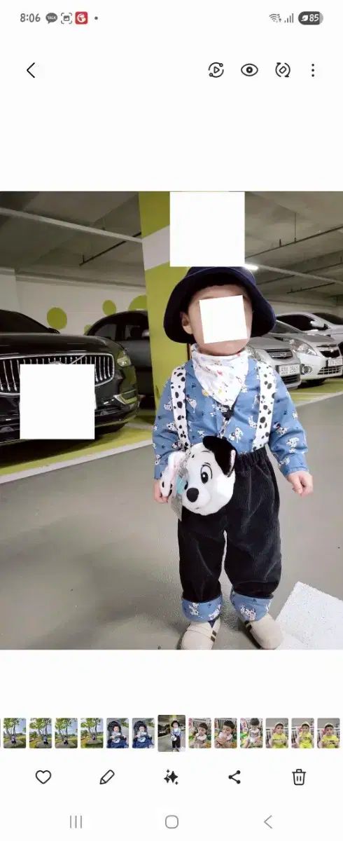 迷美ダルメシアン