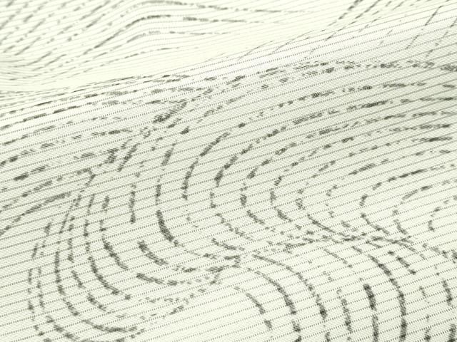 平和屋本店□極上 訪問着 無双 紗袷 紗×絽 立波文 ますいわ屋扱い 逸品