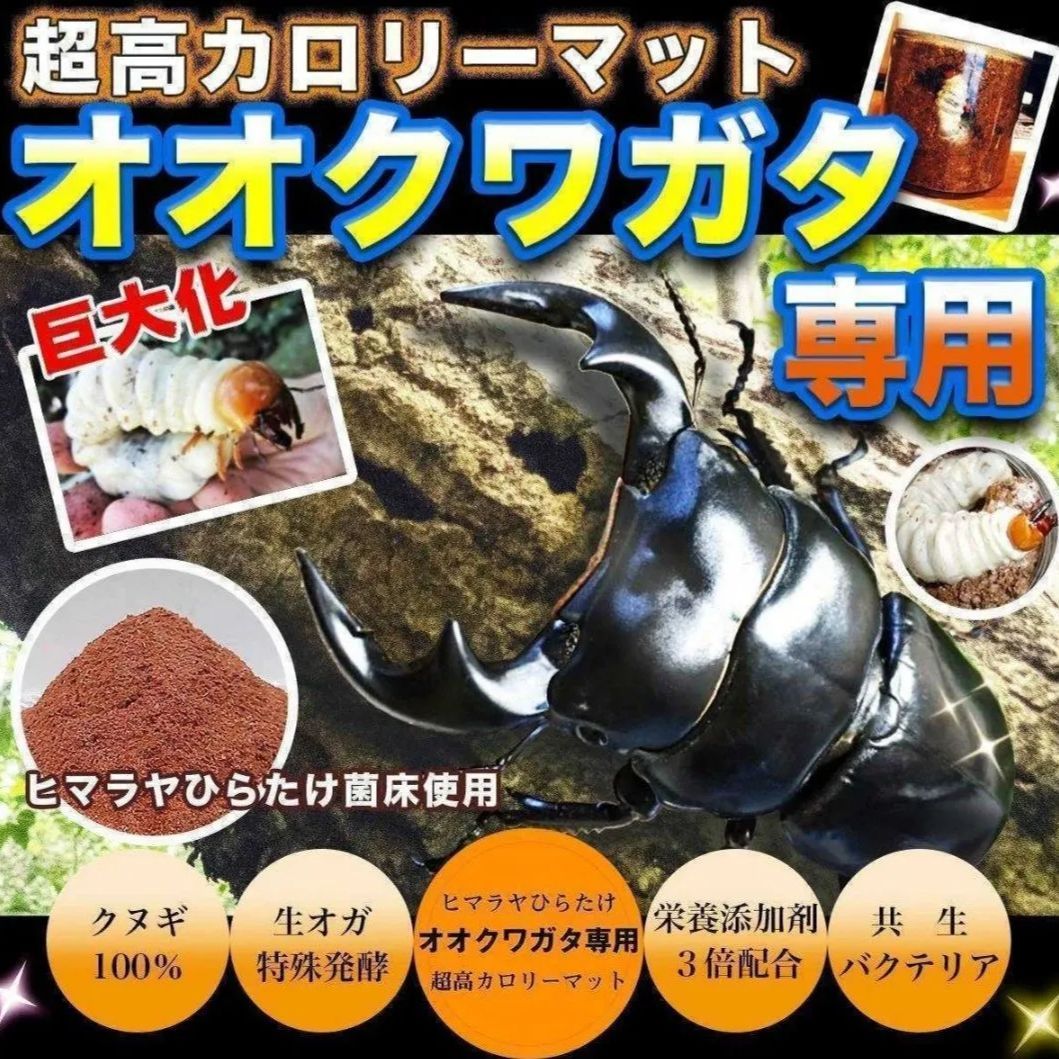 クワガタ幼虫専用　黒アワビタケ菌床粉砕マット　瓶に詰めるだけ！すぐに使えます！オオクワ・ヒラタ・ニジイロ・ノコギリがよく食べる！