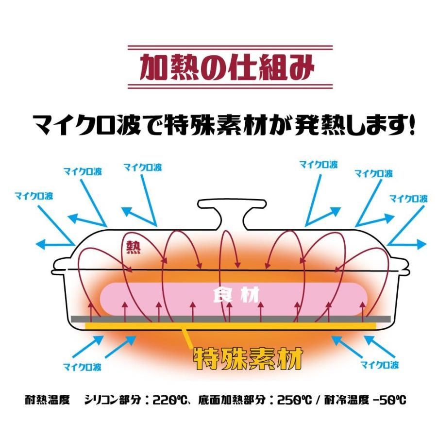 【タイムセール】電子レンジ 魚焼き器 焼き魚 レンジで焼ケール 角型 焼き目 レンジで焼けーる レンジック レンジメート プロ PRO グリルパン レンジで焼き魚 レンジ専用 調理器 焼き魚 調理用品 レンジで焼ける レンジ 焼き魚器  焼き魚