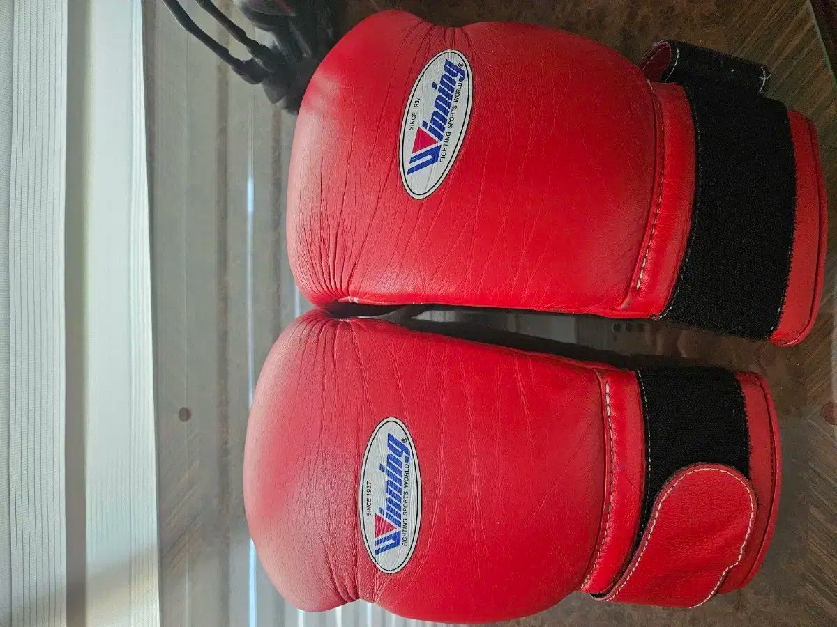 ノーボクシングノーライフ ボクシンググローブ12oz ムンギア戦モデル