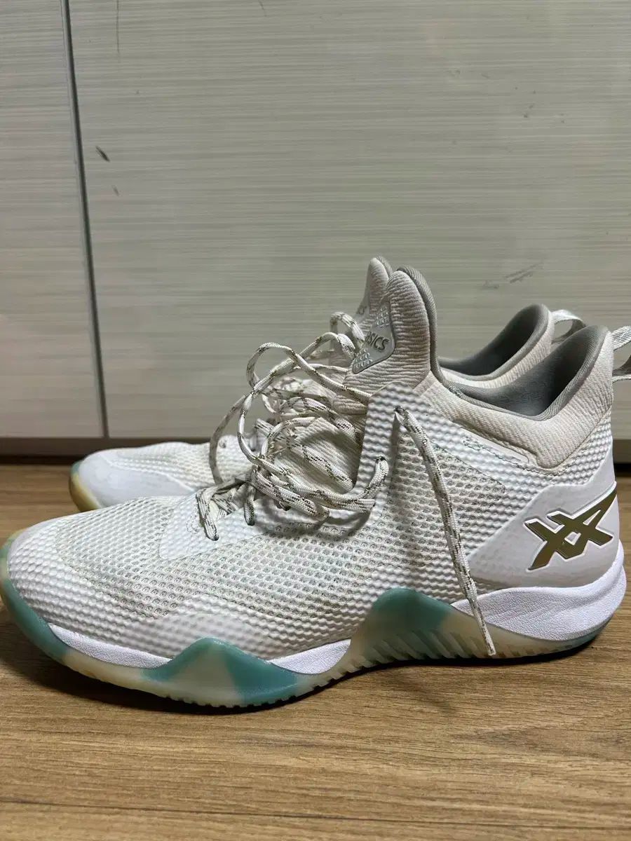 asics(アシックス) ブレイズ・ノヴァ