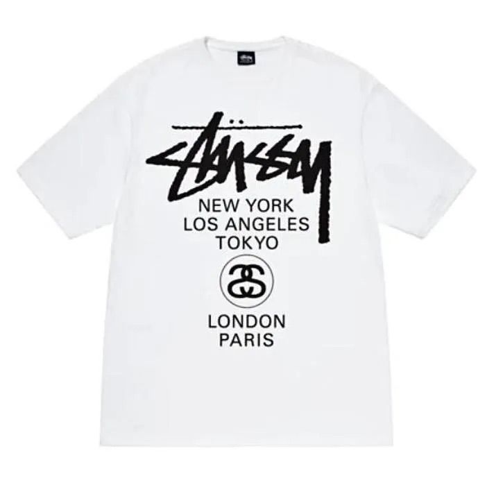 STUSSY ステューシー Tシャツ 半袖 メンズ レディース プリント