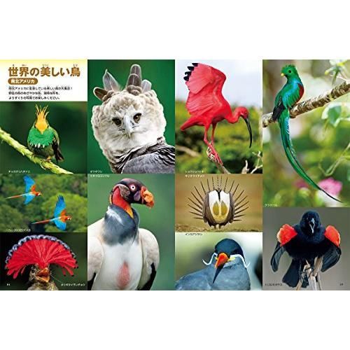 小学館の図鑑NEO 全16巻セット 図解はじめての絵画 分解する図鑑 昆虫