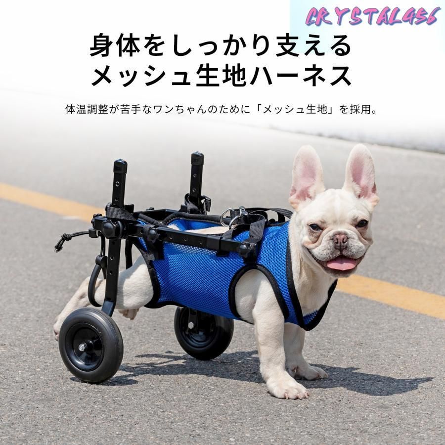 後ろ足