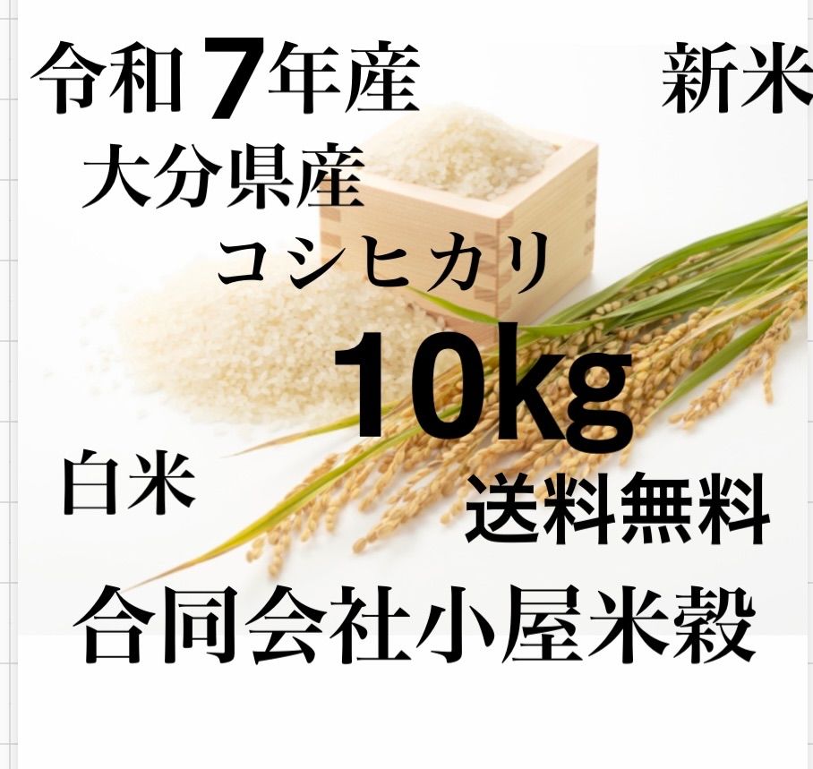 令和7年産 新米 大分県産コシヒカリ白米10㎏キロ お米10㎏ お米10キロ おこめ