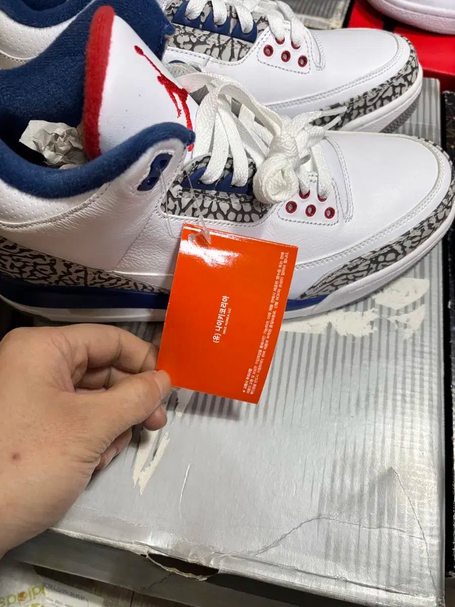 ジョーダン 3 トゥルーブルー セメント 新品 270 ナイキコリア