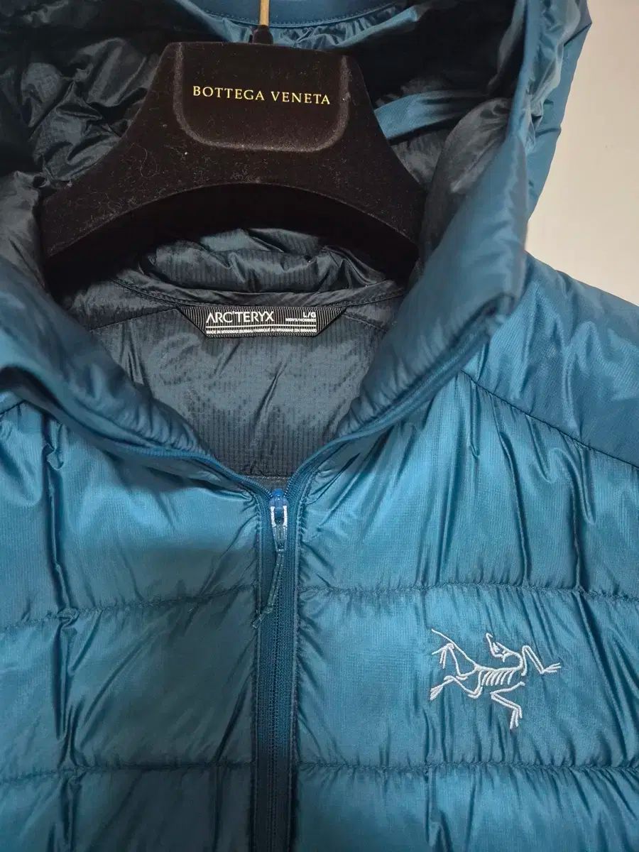 ARC TERYX Cerium L ベータ