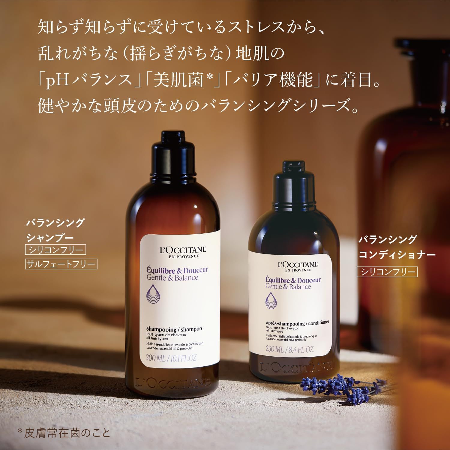 L'OCCITANE シャンプー・コンディショナーセット 500ml 3本 楽天市場
