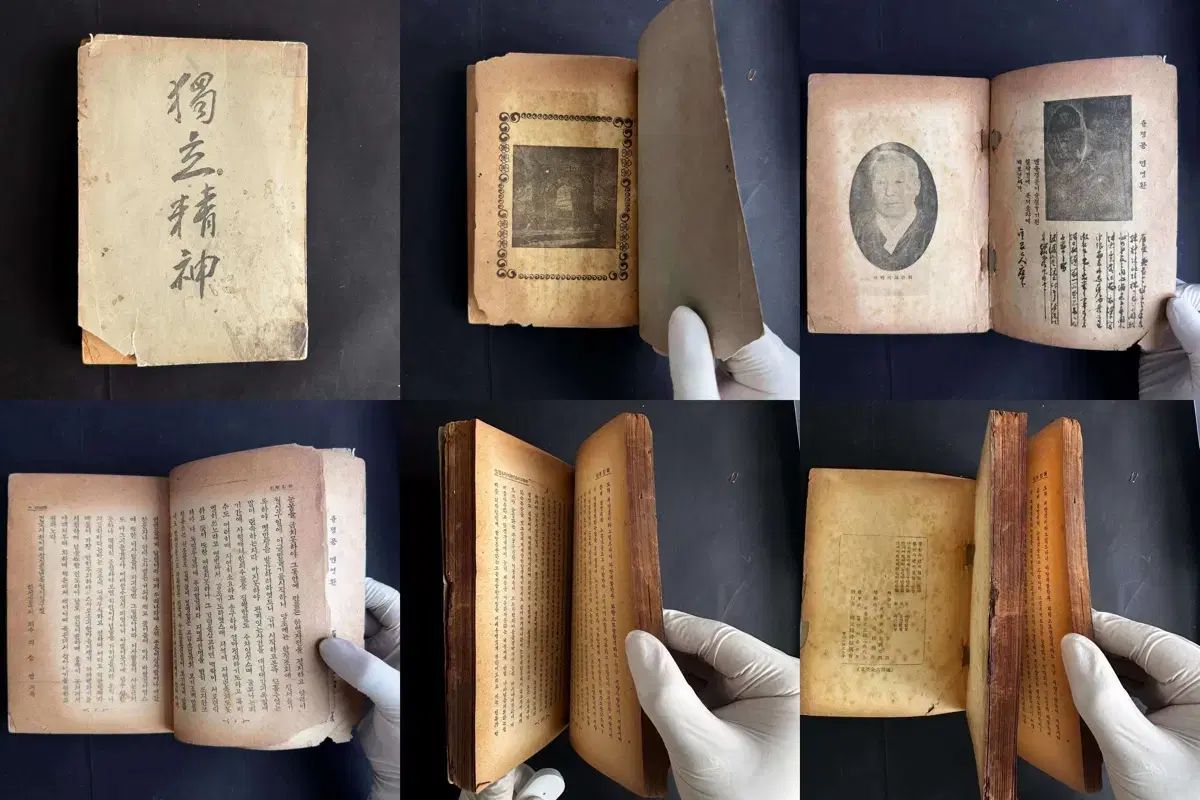 JJCUSTOMRODS グランドインパクト 2本セット 限定カラー アナコンダ