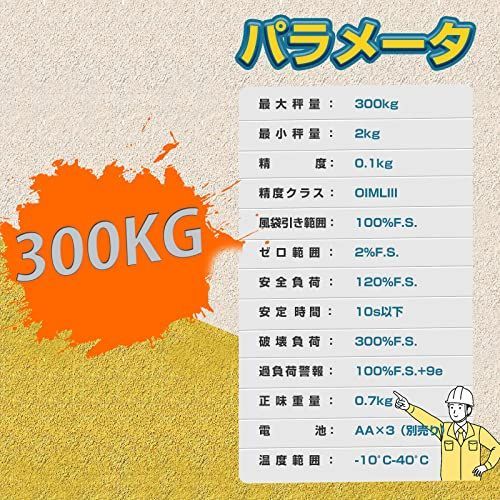 特価商品】Bonvoisin 吊りはかり 300kg クレーンスケール デジタル