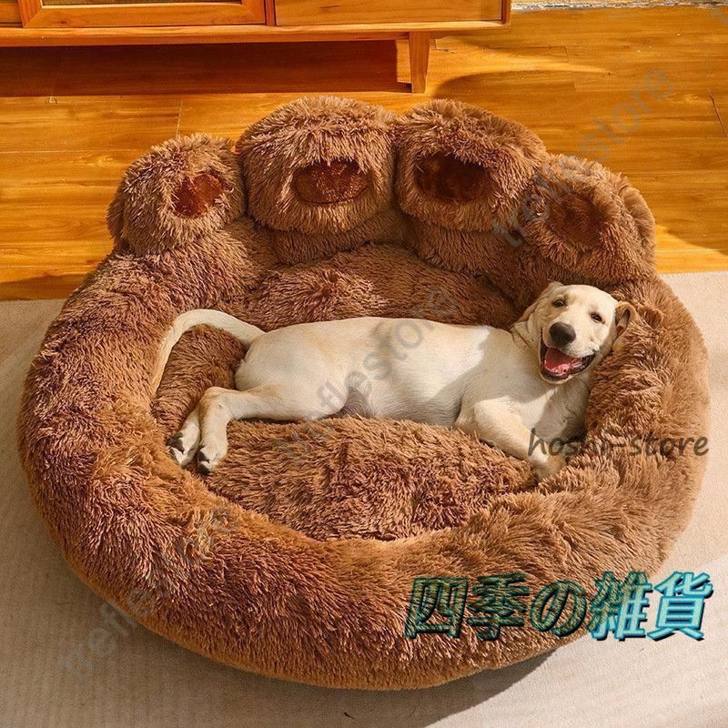 小型犬