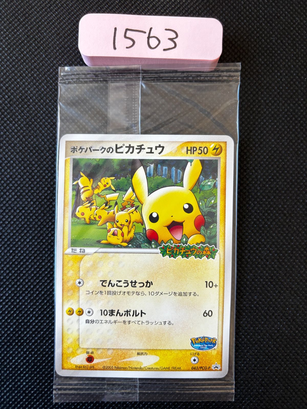 ポケパークのピカチュウ PROMO PCG-Pプロモカード 043/PCG-P ポケパークのピカチュウ PROMO PCG-Pプロモカード 043/PCG-P
