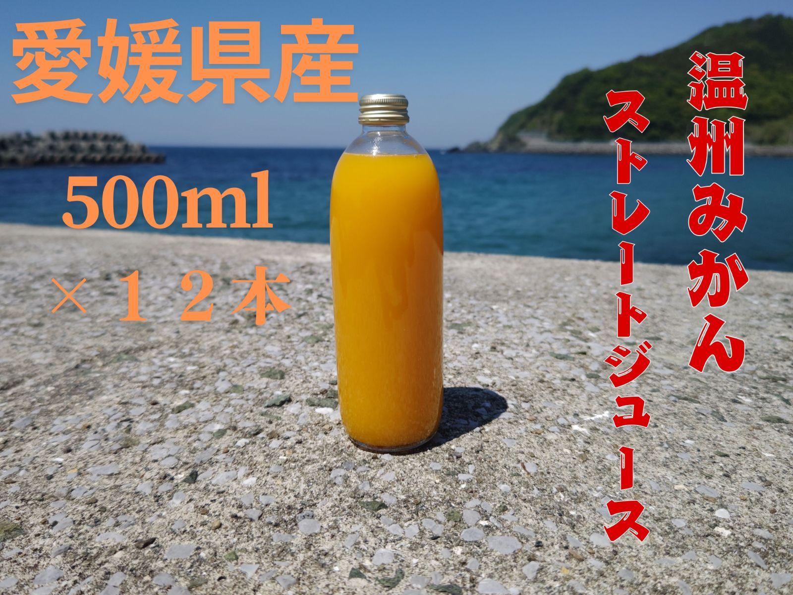 うんしゅうみかんストレートジュース 500ｍｌ×１２本 北海道 沖縄への