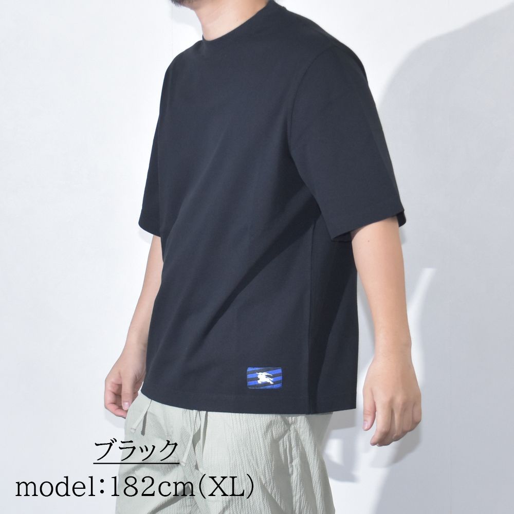 BURBERRY ブラック 半袖Tシャツ XL BURBERRY バーバリー メンズ 半袖Tシャツ WILLESDEN EKD
