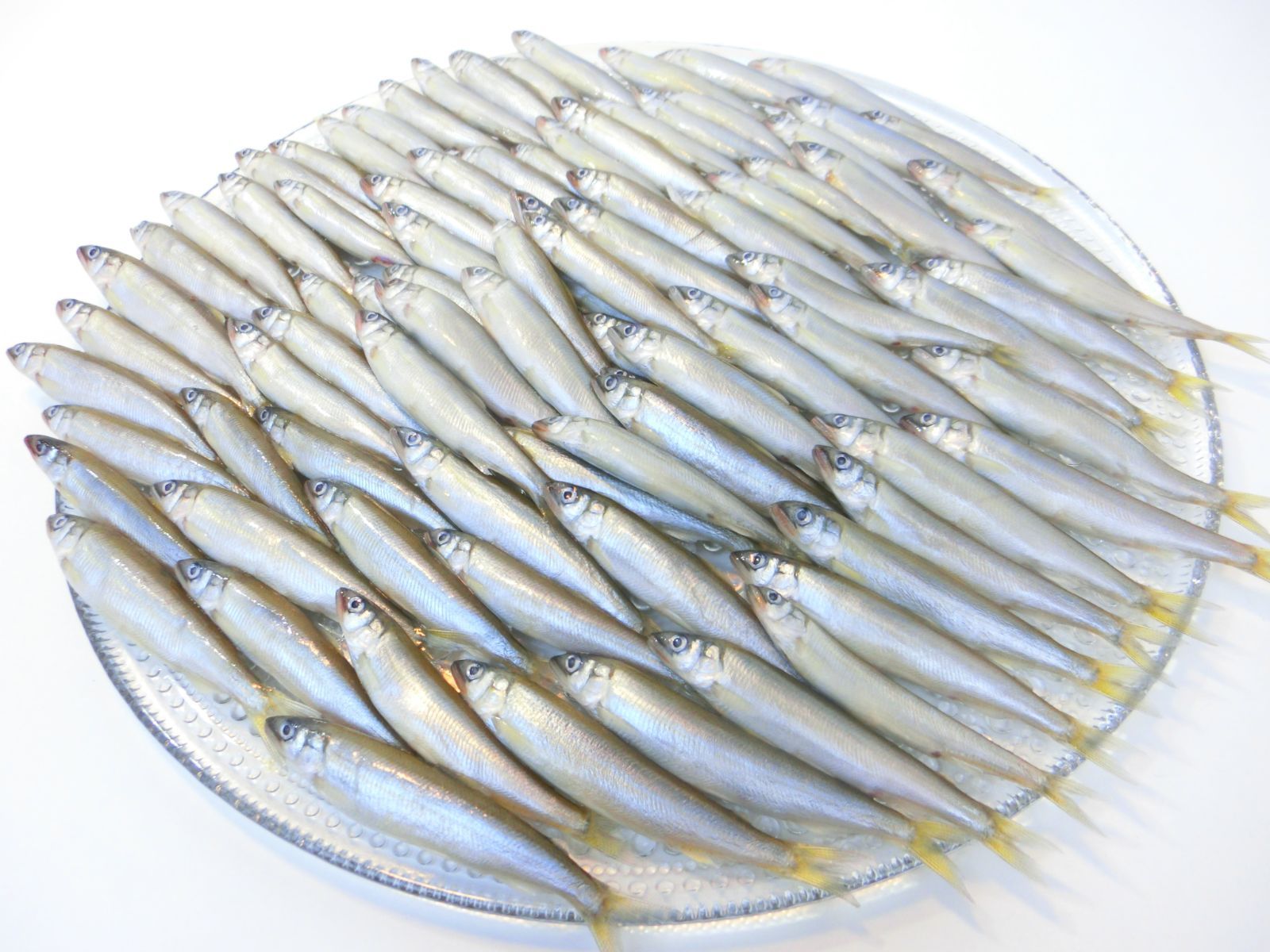 愛知県産 小あゆ 5cm-10cm 500g 冷凍 小鮎 稚鮎 国産 メルカリShops