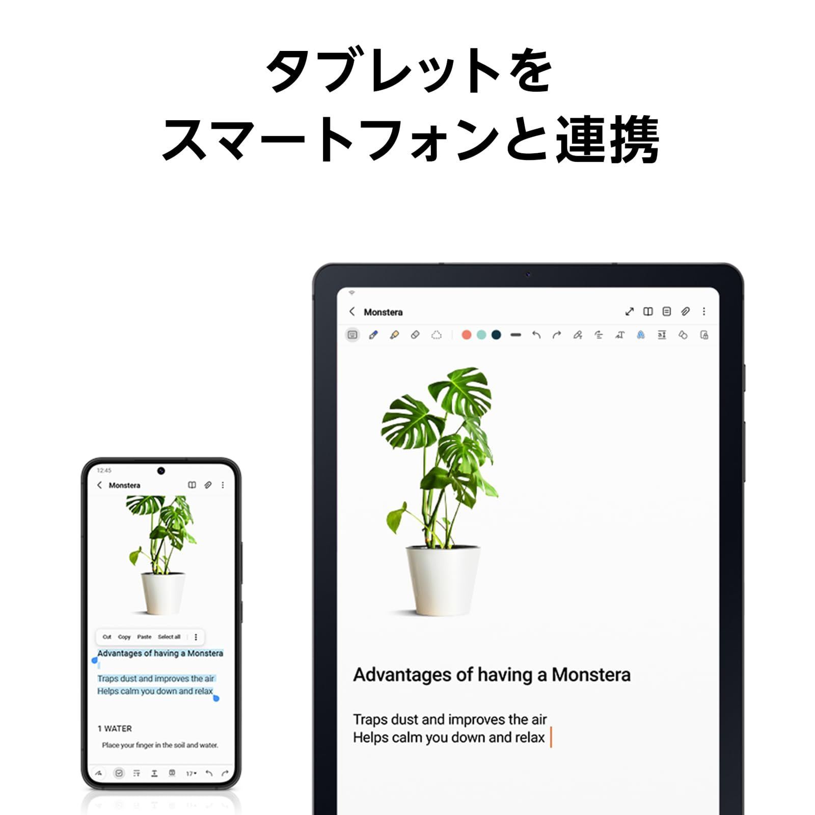端末｜Samsung純正 本体 ｜ 発売｜Sペン｜10.4インチ｜軽量｜64GB｜Android｜バッテリー7040mAh｜液晶｜SM-P620NZAAXJP 2025 Wi-Fiモデル ｜オックスフォードグレー｜タブレット Li VETTDRUCK_DE