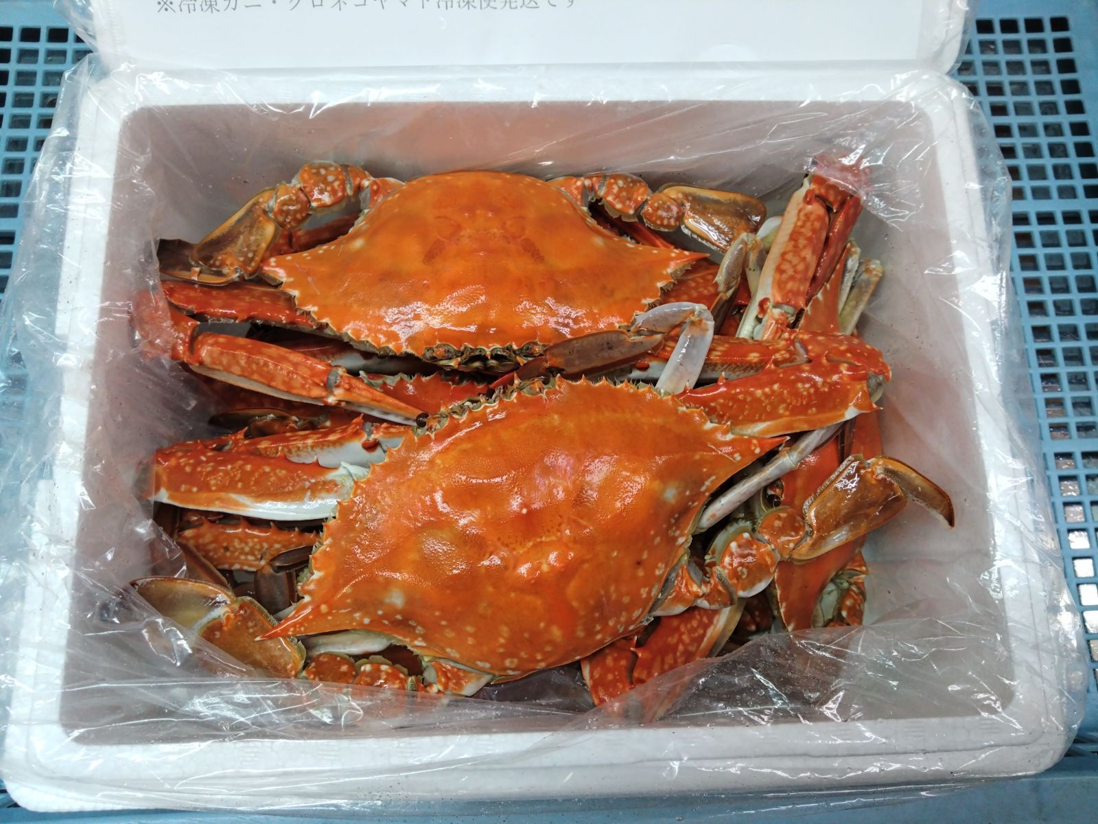 北海道産訳ありボイル毛蟹10尾 送料無料 北海道産 毛ガニ 訳あり 2〜5尾 計1.5キロ 蟹姿 北海道