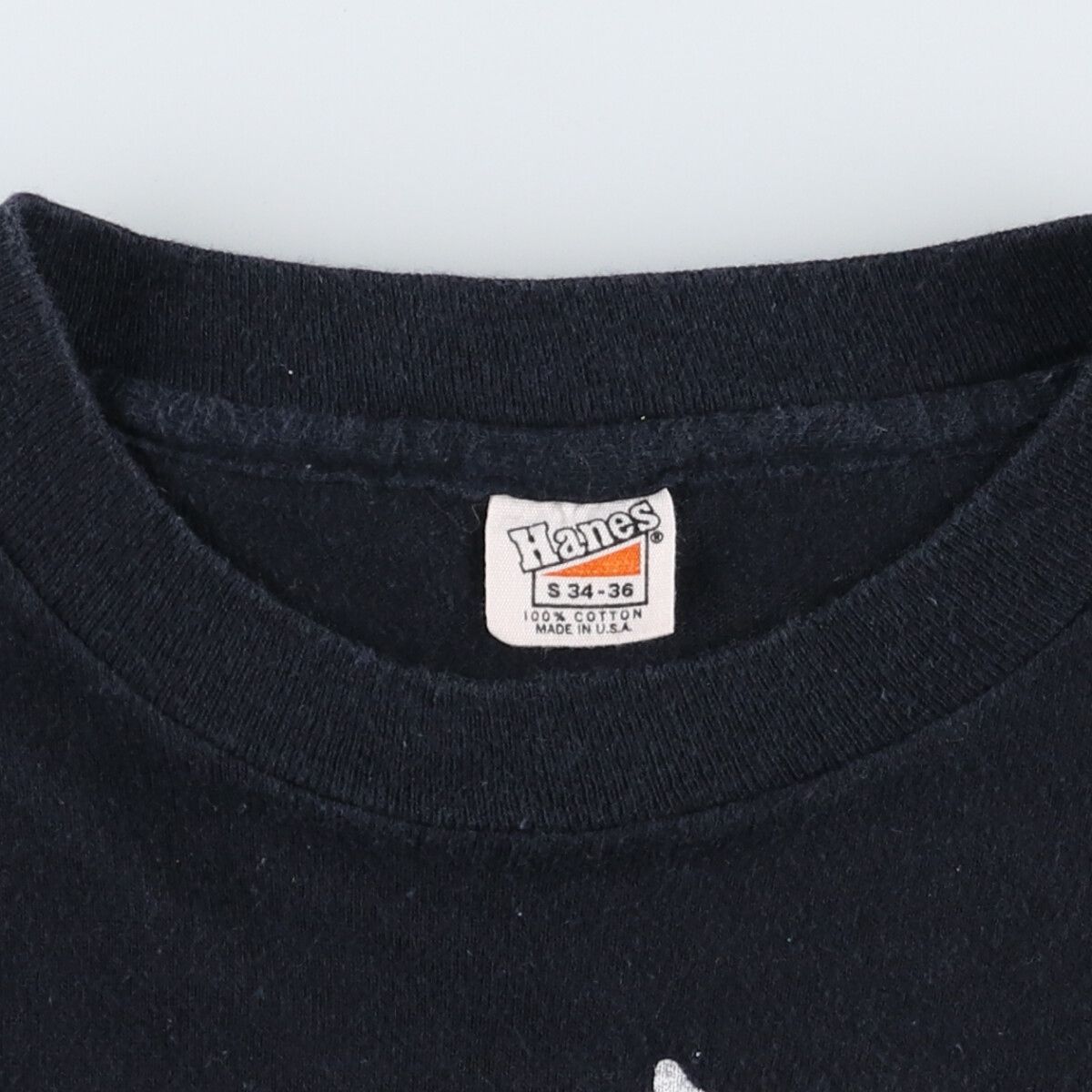 古着 70年代 ハーレーダビッドソン Harley-Davidson Hanes
