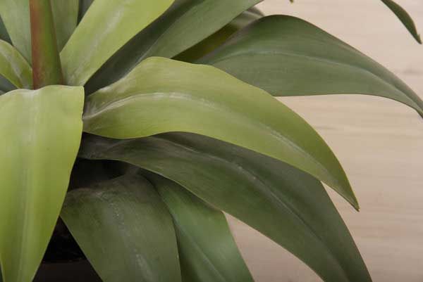 No.14 約W53×D53×H53cm