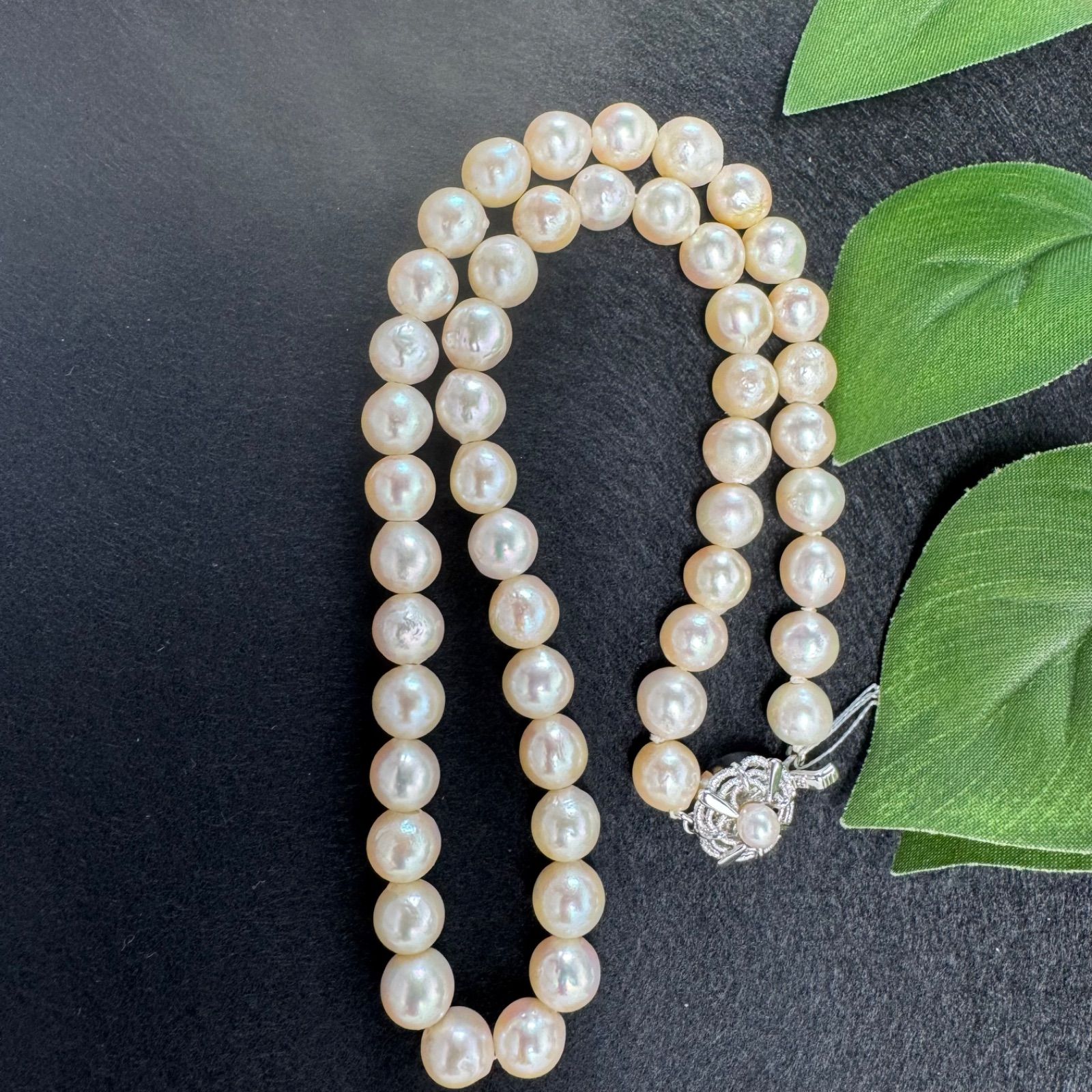 【テリ強】本真珠 パール ネックレス 約8mm-8.5mm シルバー金具 JEWELRY 本真珠パールネックレス 8-8.5mm シルバー 44cm