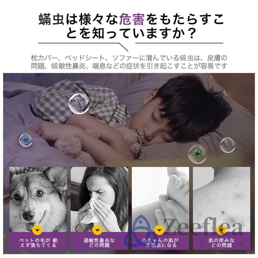 ハウスダスト ベッド