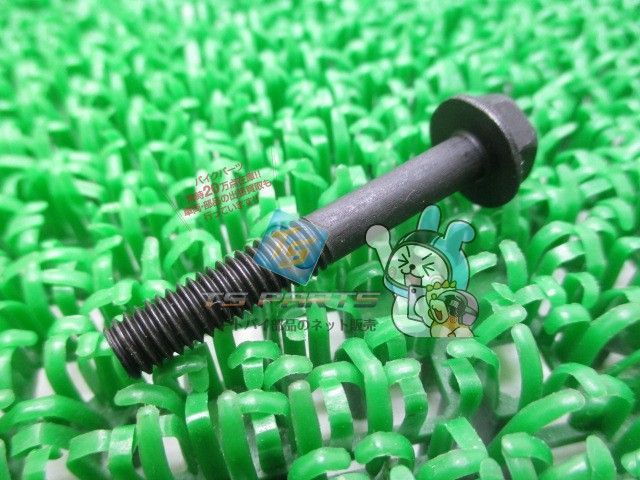 パーツ Z250GP カワサキ Z250 Z300 Z400 Z650 Z750 Z800 Z900 Z1000 ZX6R ZX10R