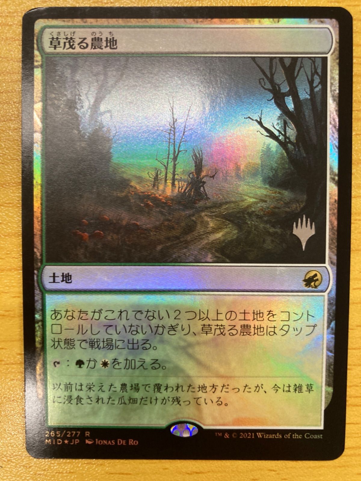 MTG 草茂る農地 日本語 foil プロモ - メルカリ