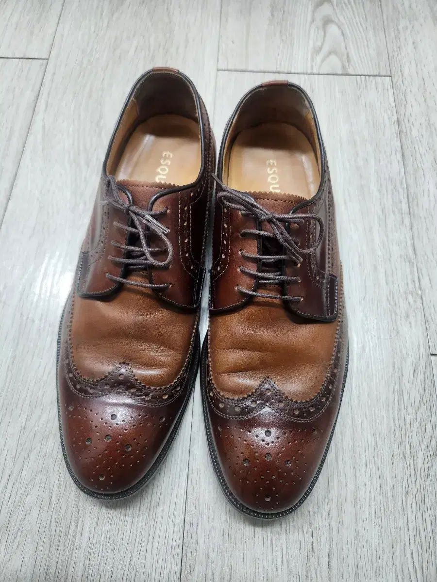 ESQUIRE(エスクァイア) 275-当店売れ筋
