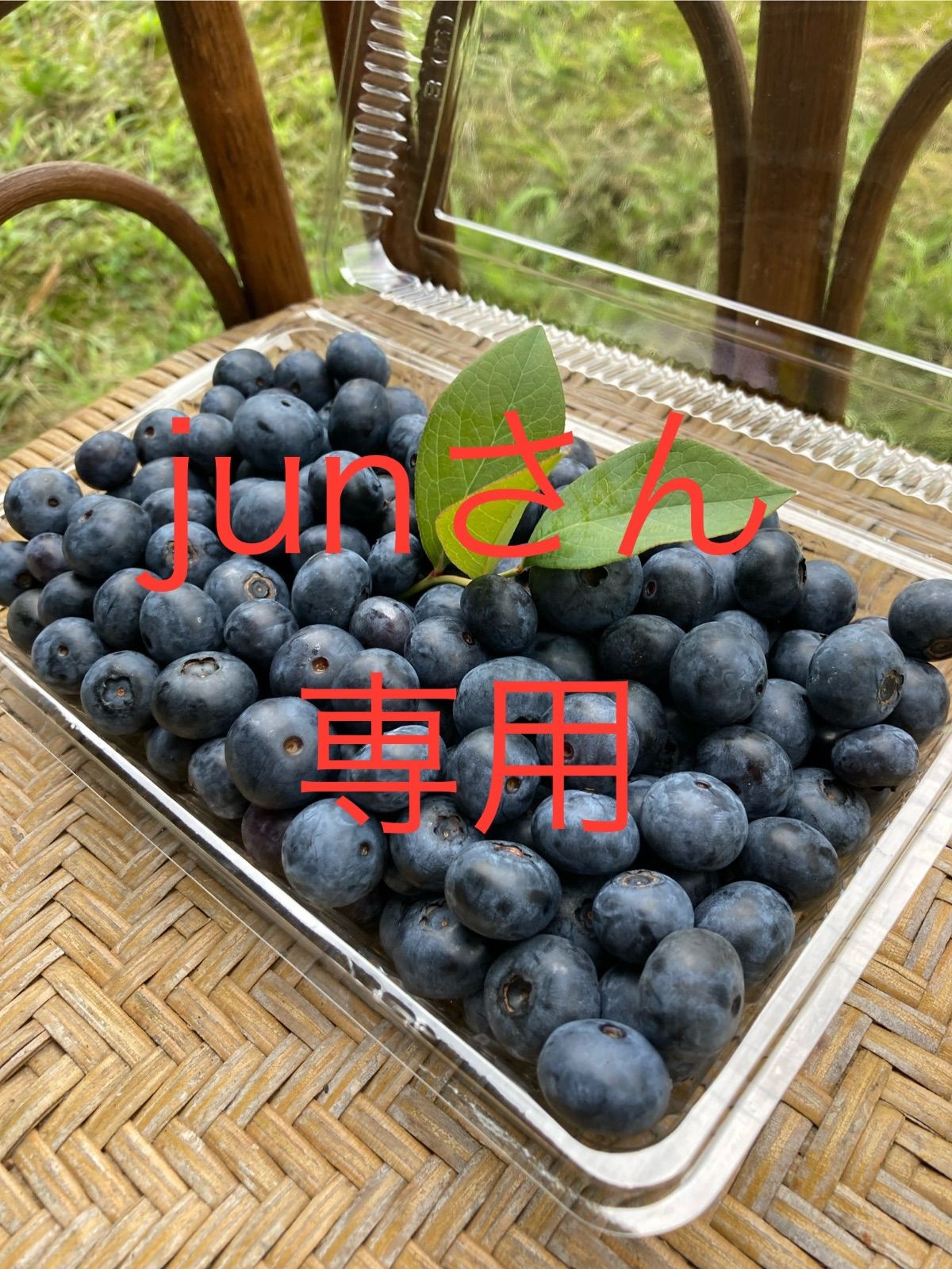 ブルーベリーさん専用 【公式通販】