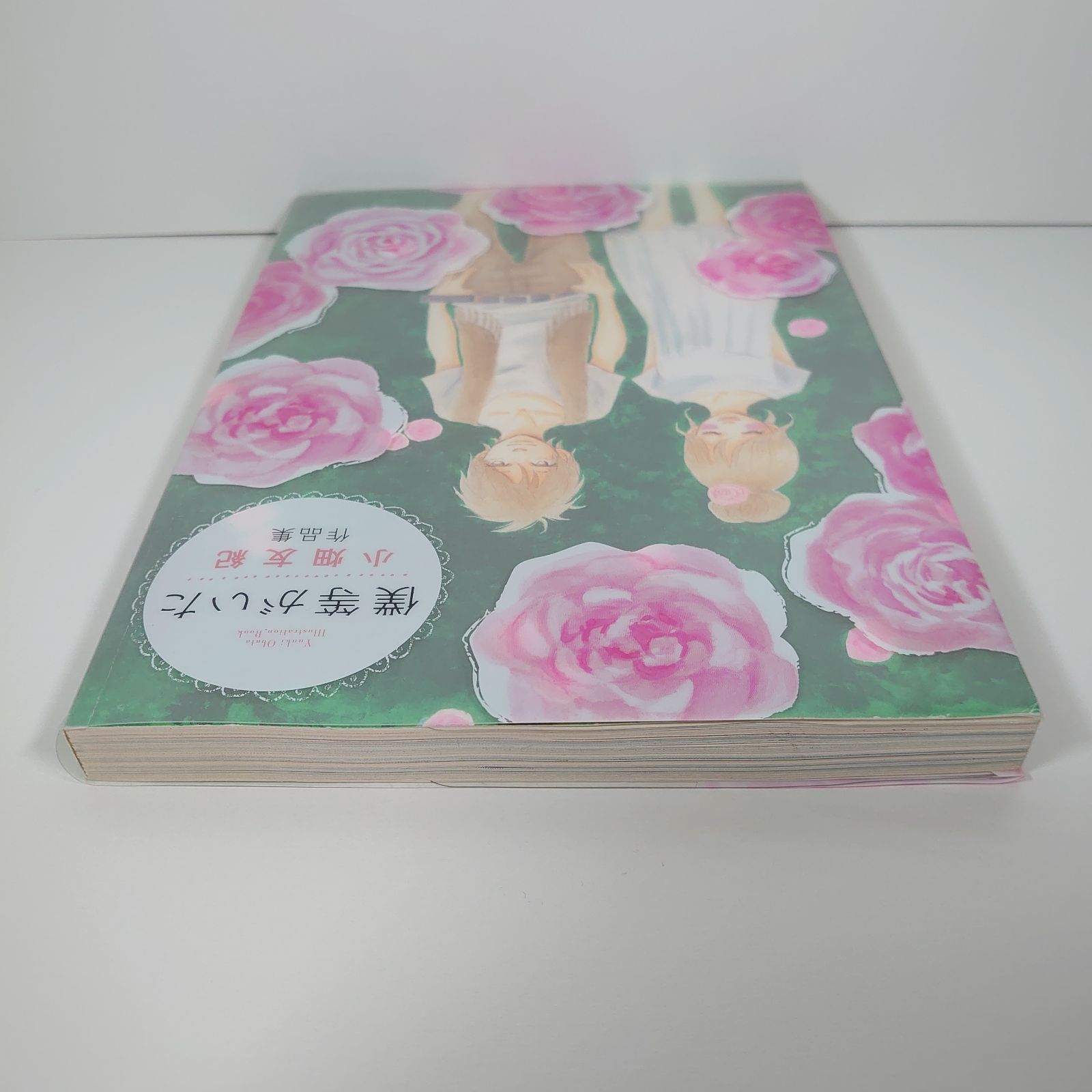 僕等がいた 小畑友紀作品集 (原画集・イラストブック) - メルカリ