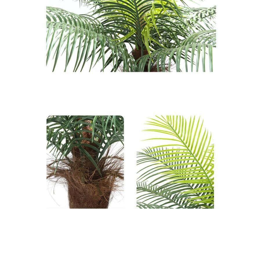 観葉植物