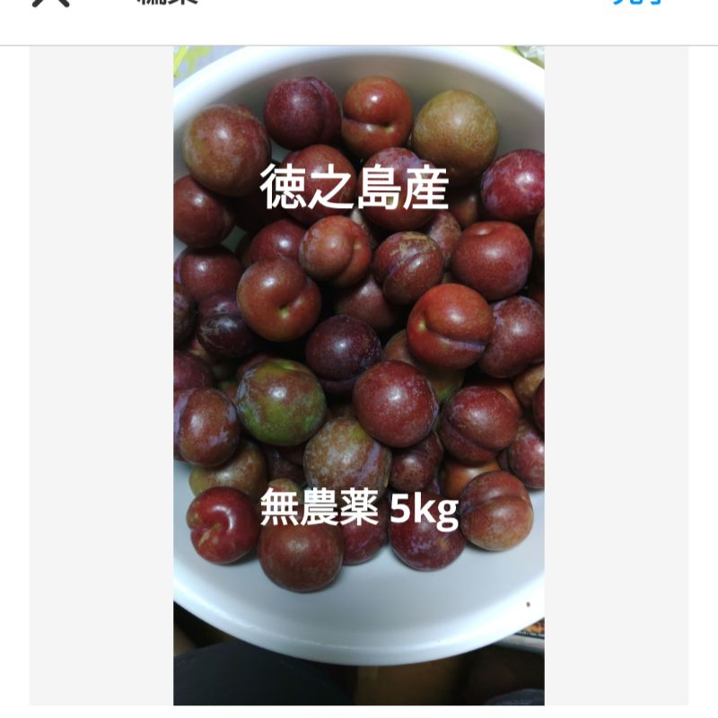 スモモ 5kg 徳之島産 自然栽培･農薬不使用･農家直送