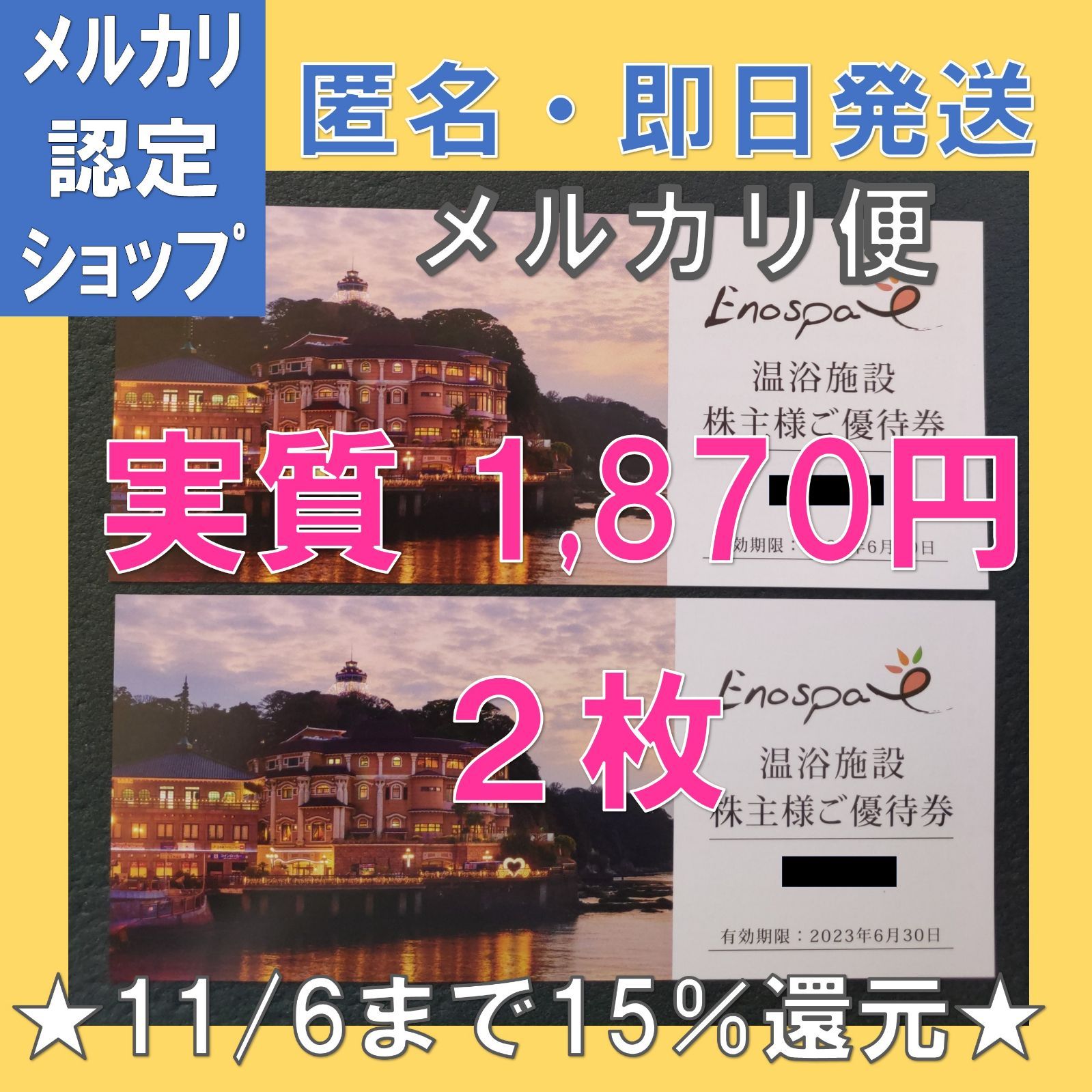 飯田グループ株主優待券 江の島アイランドスパ ２枚 ①