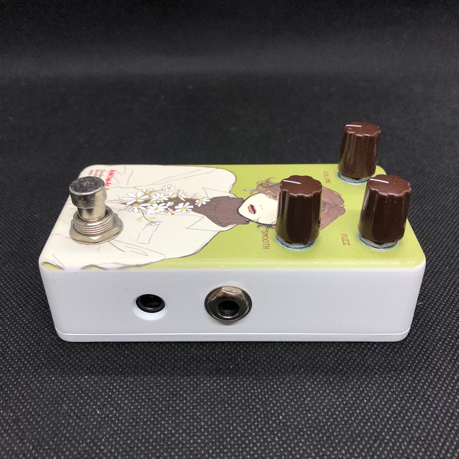Animals Pedal Custom Illustrated 040 Sunday Afternoon Is