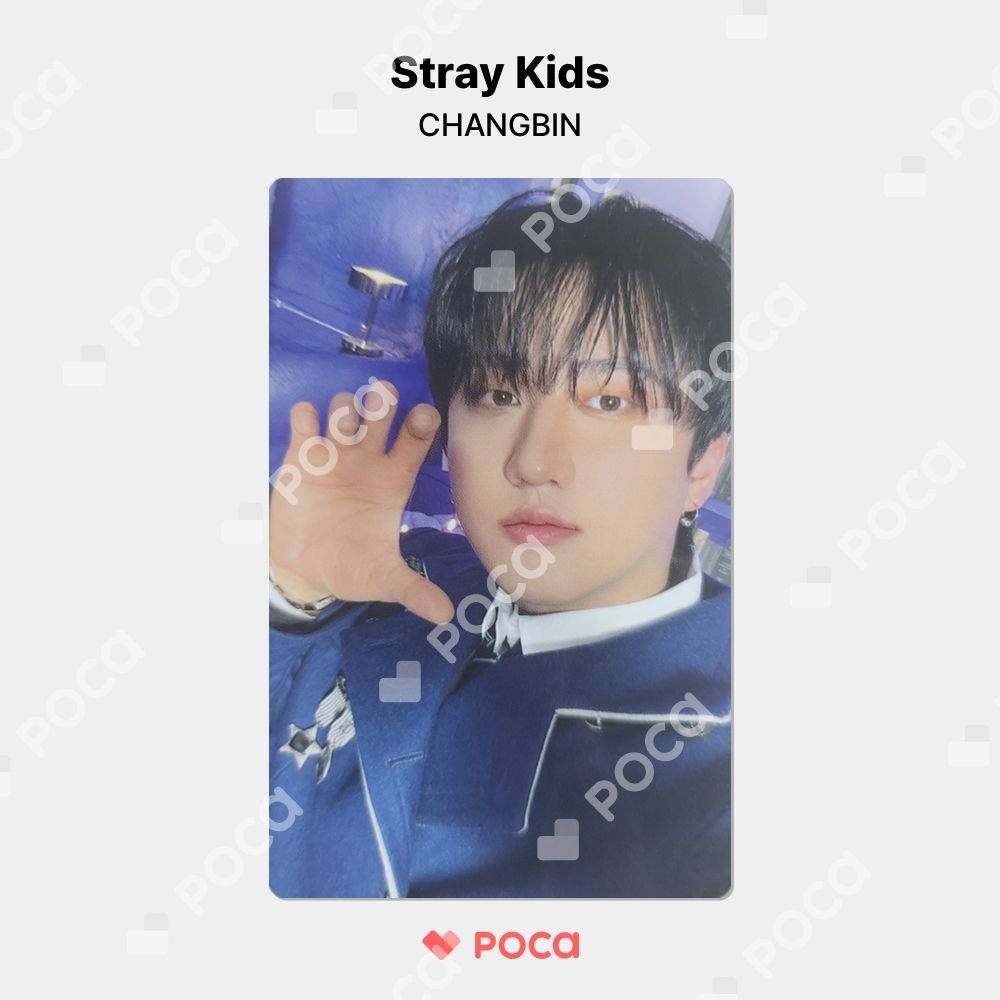 straykids チャンビン スキズ トレカ Stray Kids x SKZOO POP-UP