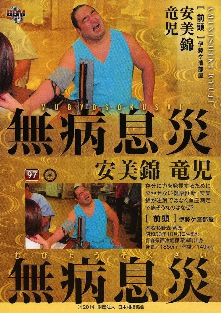 2025年最新】大相撲カード 97の人気アイテム - メルカリ