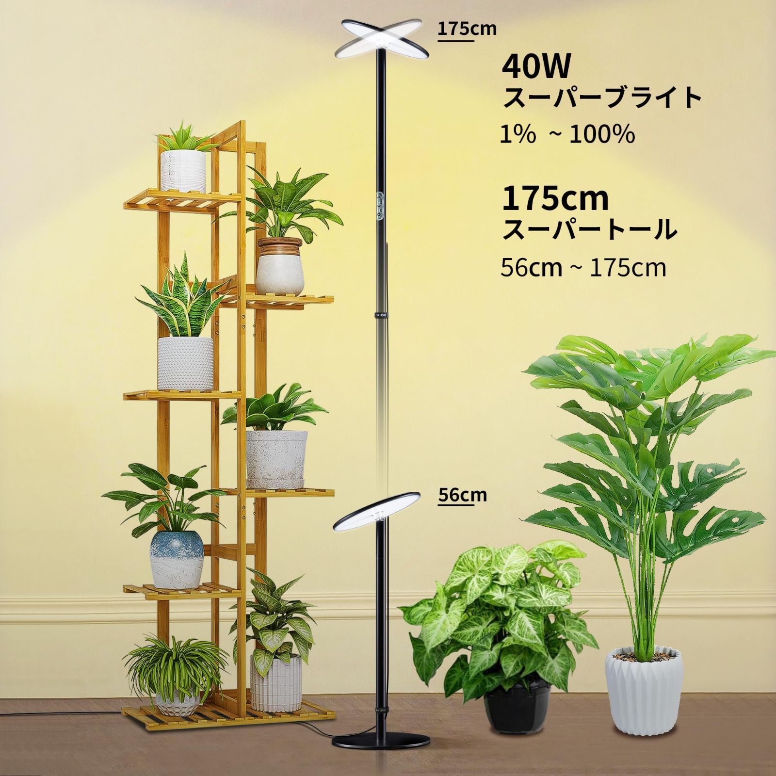 屋内園芸 水生植物栽培