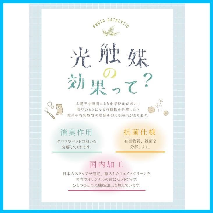 消臭