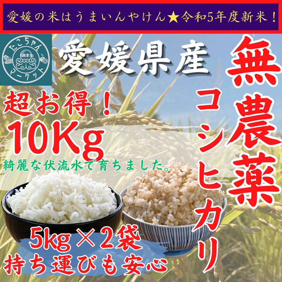 無農薬米 令和5年度 新米【玄米・白米選べます】愛媛県産 お米