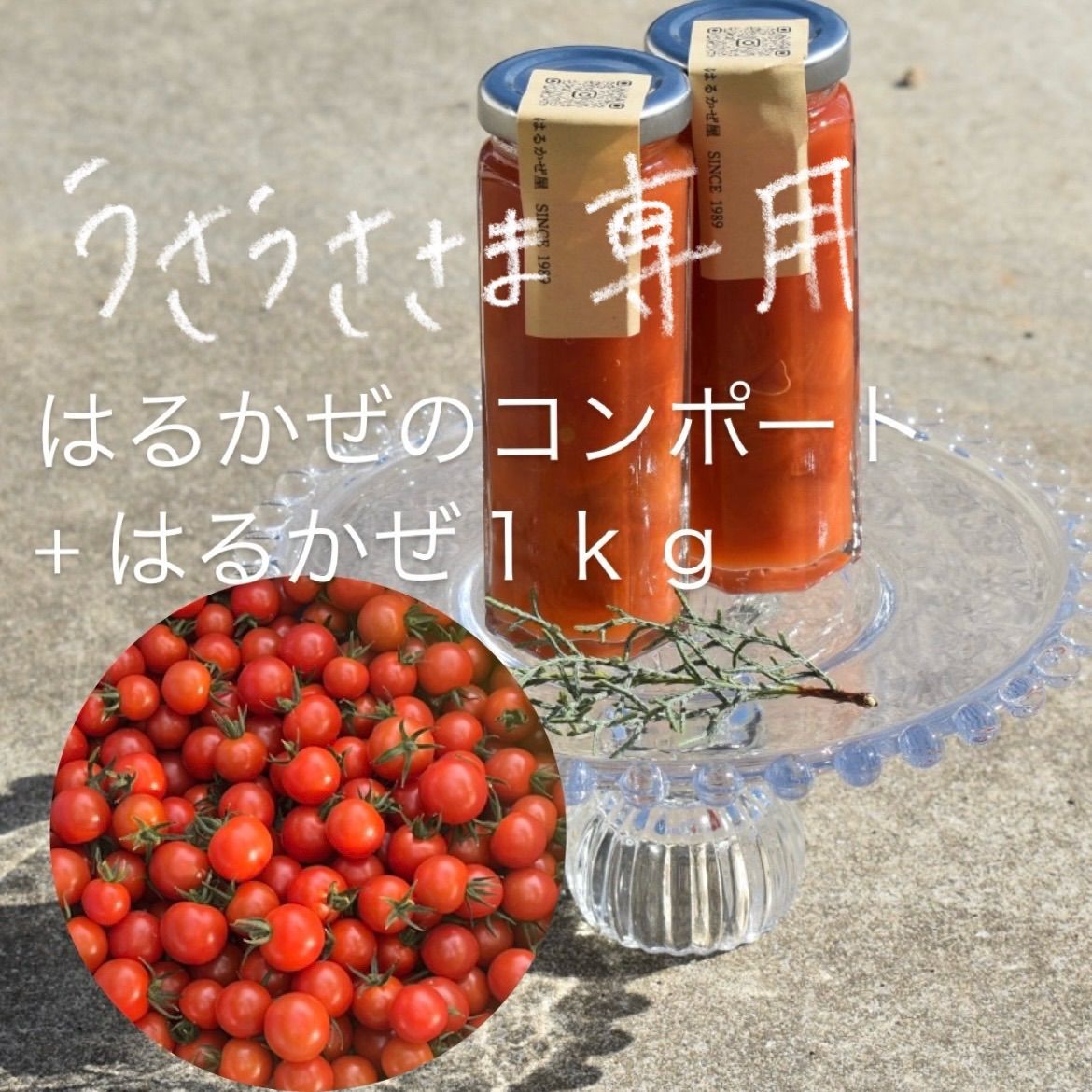 専門店では うさうさ様専用】はるかぜのコンポート2本+完熟ミニトマトはるかぜ1kg<<セット販売>> - メルカリ 保存容器・ケース