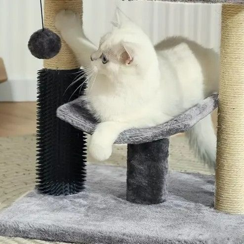 丈夫