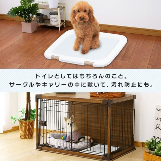 公式