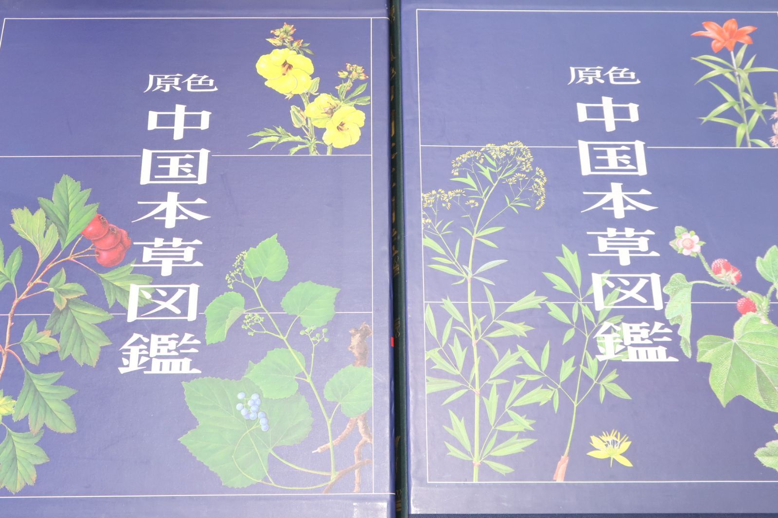 原色中国本草図鑑・9冊/最新最大の原色本草図鑑/多数の薬用植物に少数