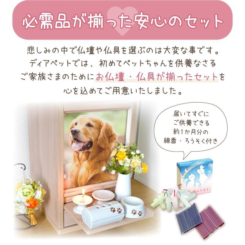 17点